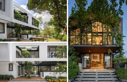  Ng&ocirc;i Nh&agrave; "Cổ T&iacute;ch" Giữa Rừng Nhiệt Đới: Giải Ph&aacute;p Mặt Tiền D&acirc;y Leo Chống N&oacute;ng V&agrave; Lọc Kh&ocirc;ng Kh&iacute; Tuyệt Vời